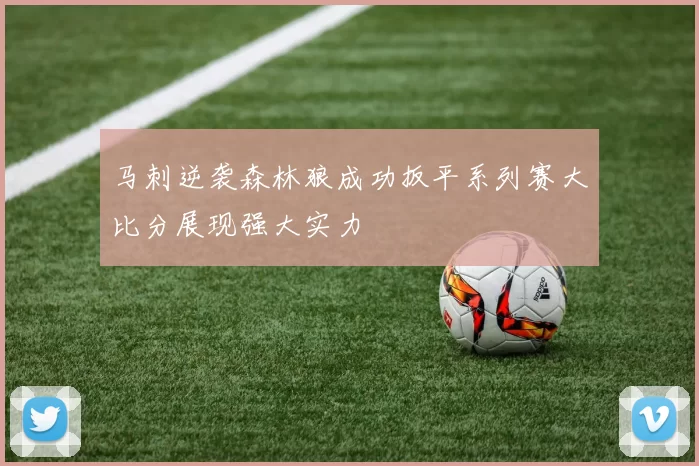 马刺逆袭森林狼成功扳平系列赛大比分展现强大实力