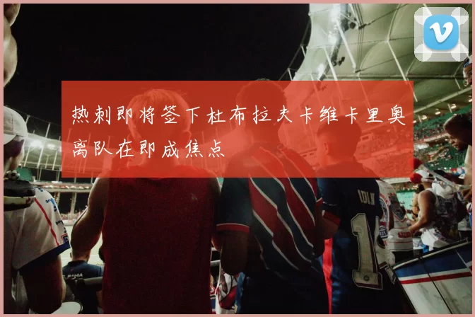 热刺即将签下杜布拉夫卡维卡里奥离队在即成焦点
