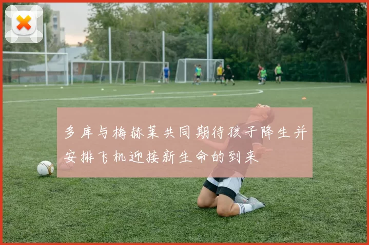 多库与梅赫莱共同期待孩子降生并安排飞机迎接新生命的到来